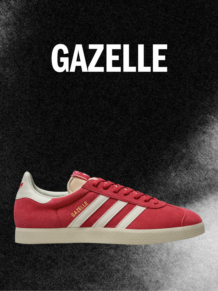 Imagine fără denumire