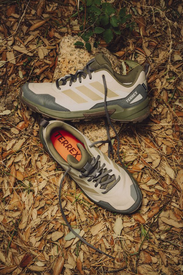 &Icirc;ncălțăminte Terrex